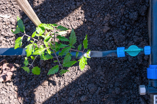 Beginner’s Guide to Automatic Irrigation: How to Install It Without Complications